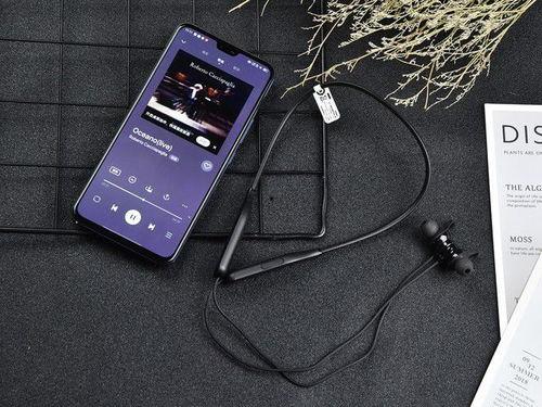 娱乐吃瓜音乐有哪些名字